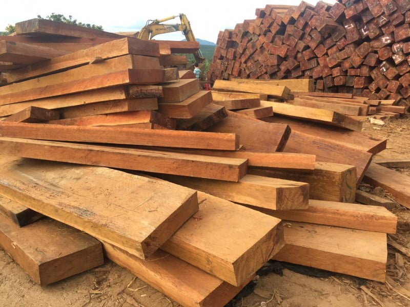 Các khối gỗ gụ mới được khai thác