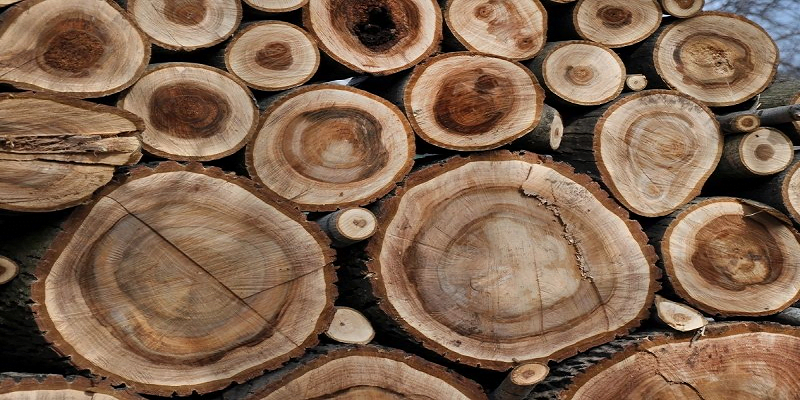 So sánh giữa gỗ tự nhiên và gỗ Veneer