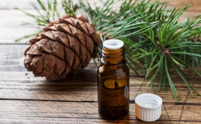Loại gỗ có mùi thơm đặc trưng